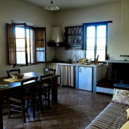Agriturismo Il Sole Verde Bucine Exteriér fotografie
