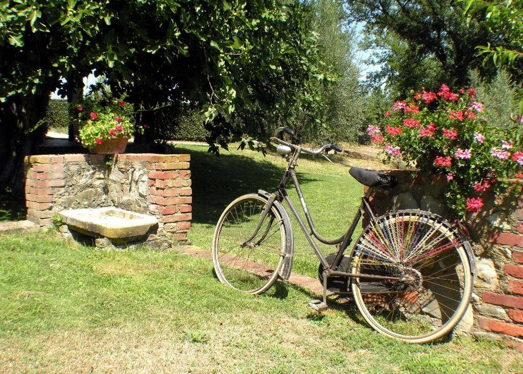 Agriturismo Il Sole Verde Bucine Exteriér fotografie