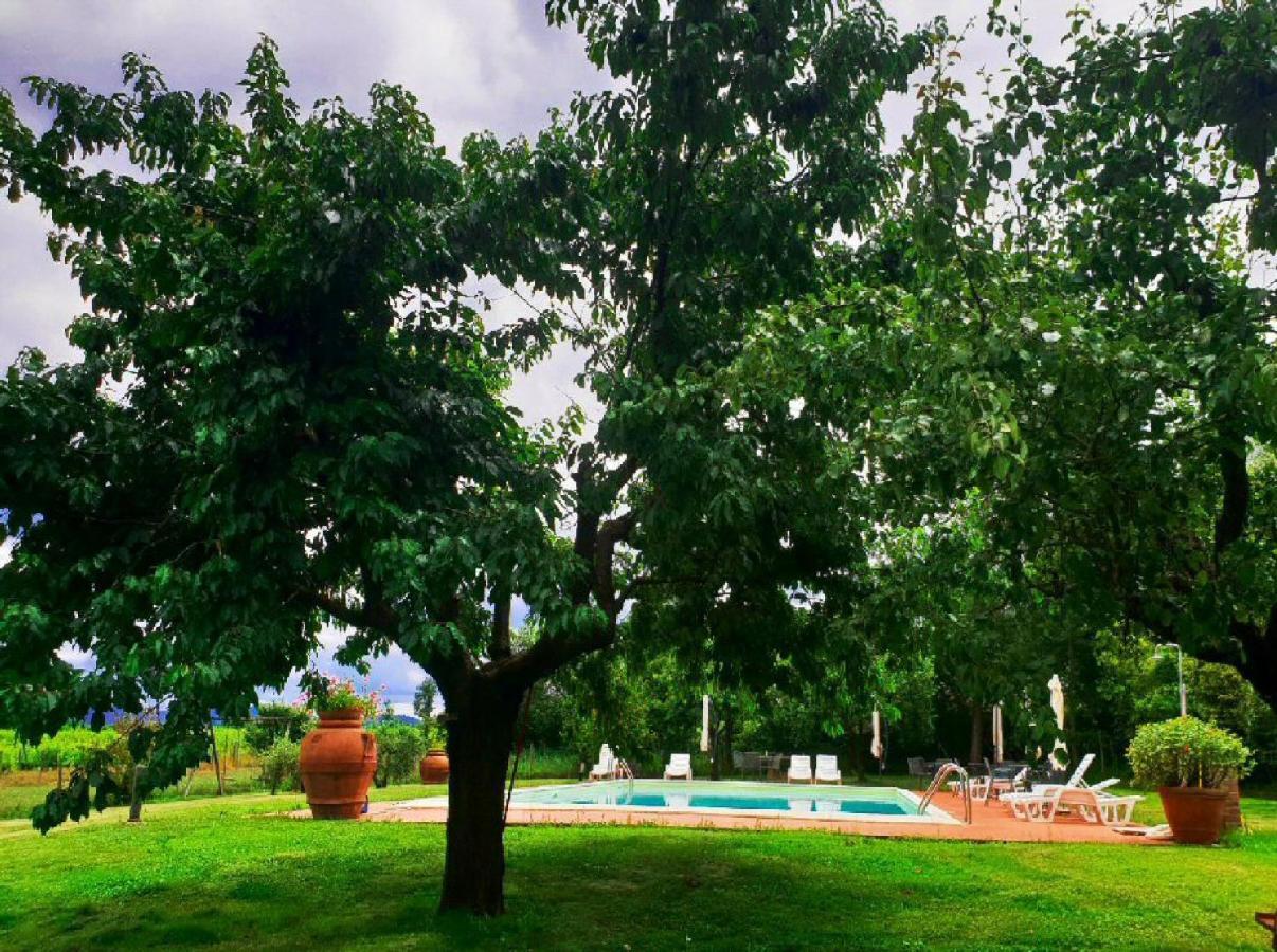 Agriturismo Il Sole Verde Bucine Exteriér fotografie